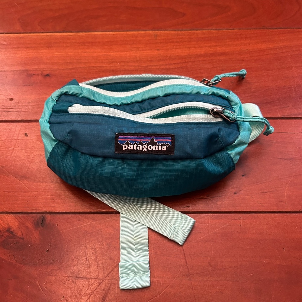 Patagonia lightweight travel mini hip pack